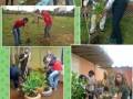 Atividades do Projeto Escola Verde. Centro de Ensino Médio 03 de Taguatinga (DF).