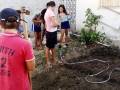 Atvidades de Horta Agroecológica. Escola Luis Cursino. Juazeiro-BA. 18-11-2016