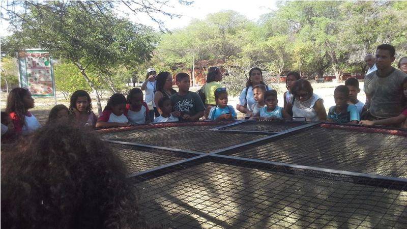 Visita técnica ao parque Zoobotânico - Escola Ludgero de Souza Costa - Juazeiro-BA - 18.11.15