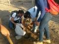 Escolas de Petrolina participam de atividades de Arborização. Petrolina, PE (31 e 27/10)