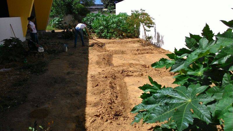 Atividade de preparação para implantação da horta sustentável - Escola Marechal Antônio Alves Filho (EMAAF) - Petrolina-PE - 11.11.15