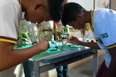 ESCOLAS FAZEM EVENTOS AMBIENTAIS PELA SUSTENTABILIDADE