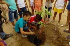  Escolas mobilizadas para arborização