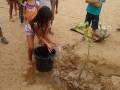 Atividades de Arborização. Escola Luis Cursino. Juazeiro-BA. 26-08-2016