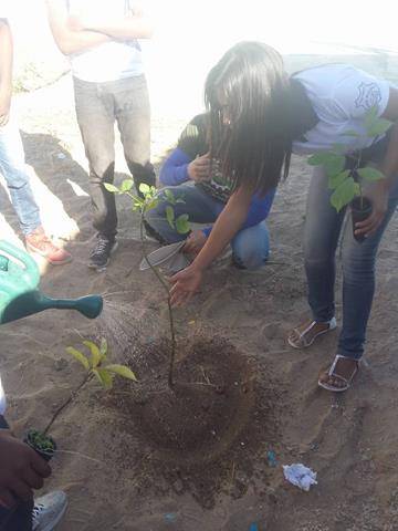 Atividades de Arborização. Escola Juthay Magalhães. Juazeiro-BA. 10-06-2016