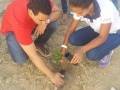 Atividades de Arborização. Escola Juthay Magalhães. Juazeiro-BA. 10-06-2016
