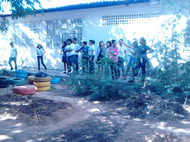 Atividade de horta escolar. Escola Antonilio de França Cardoso. Juazeiro-BA. 14-06-2016