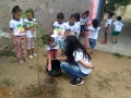 Arborização mobilizou 150 alunos em Petrolina e Juazeiro.