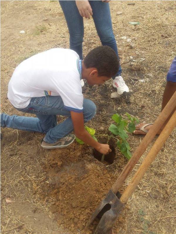 Atividade de arborização -  Escola Professor Simão Amorim Durando - Petrolina-PE - 19.09.15