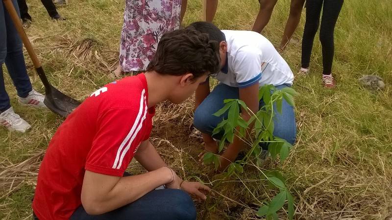Atividade de arborização - Escola Professor Simão Amorim Durando - Petrolina-PE - 19.09.15