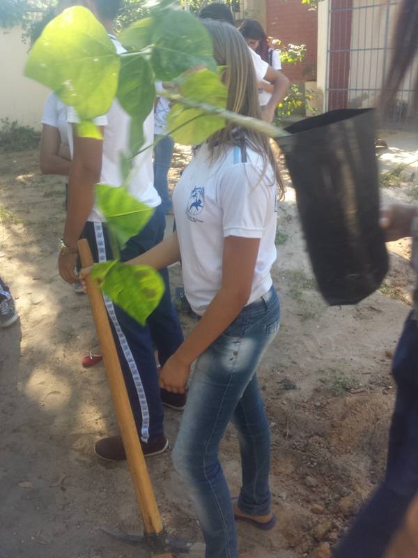 Atividade de arborização - Escola Estadual Otacílio Nunes de Souza - Petrolina-PE - 02.09.15