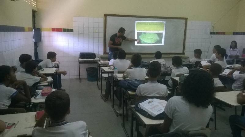Atividade sobre arborização - Escola Professor Simão Amorim Durando - Petrolina-PE - 27 e 28.08.15