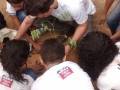 Atividades de Arborização. Escola Rui Barbosa. Juazeiro-BA. 29-07-2016