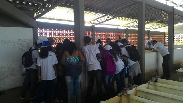 Visita tecnica a Codevasf - Escola Marechal Antonio Alves Filho (EMAAF) -Petrolina-PE - 01.03 (12)