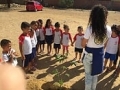 Atividades de Arborização. Escola Raimundo Medrado Primo. Juazeiro-BA. 15/08/2018.