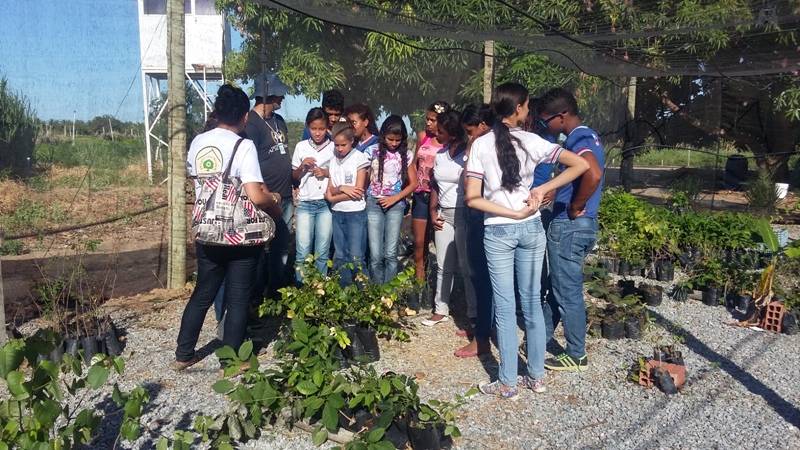 Visita técnica ao CCA (Univasf) e plantio de mudas na orla de Juazeiro-BA - Escola Pedro Raimundo Rodrigues Rêgo - Juazeiro-BA - 12.11.15