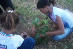 Estudantes realizam arborização da orla do Rio e visita à Univasf