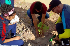 ESTUDANTES REALIZAM ARBORIZAÇÃO NAS ESCOLAS