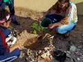 Atividade Arborização. Escola Estadual Dom Malan. Petrolina-PE. 26/07/2019