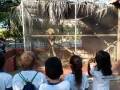 Visita ao Zoo mobilizou 110 alunos das Escola Luiza de Castro Ferreira e Silva (Petrolina), Escola Municipal Professora Maria Odete Sampaio Gomes (Petrolina) e APAE (Juazeiro).