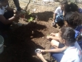 Horta ecológica mobilizou 80 alunos de Juazeiro e Petrolina. Atividades ocorreram nos dias 5 e 14 de maio.