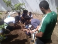 Horta ecológica mobilizou 80 alunos de Juazeiro e Petrolina. Atividades ocorreram nos dias 5 e 14 de maio.