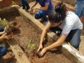 Atividades de Horta Agroecológica. Escola Guiomar Barreto Meira. Juazeiro-BA. 04/04/2018.