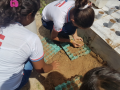 Atividades de Horta Agroecológica. Escola Guiomar Barreto Meira. Juazeiro-BA. 04/04/2018.