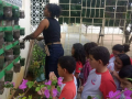 Atividades de Horta Escolar Agroecológica. Escola Luis Cursino. Juazeiro-BA. 20/07/2017.