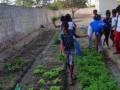Atividade Horta Agroecológica. Escolas em Santa Maria da Boa Vista-PE. 20/09/2019-01/10/2019.