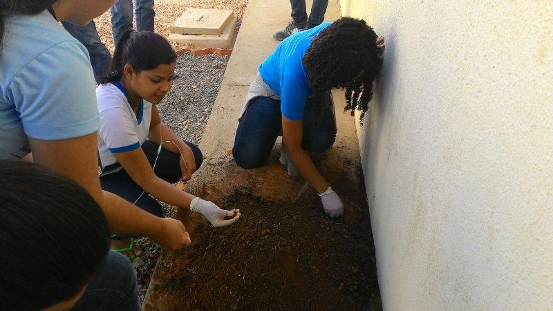 Atividade de horta vertical - EMAAF Escola Marechal Antônio Alves Filho - Petrolina-PE - 28.10.15