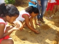 Horta Escolar Agroecológica. Escola Iracema Pereira da Paixão. Juazeiro-BA. 03-06-2016