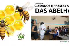 Importância social e ecológica das abelhas