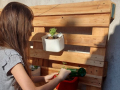 Atividades de Jardinagem nas residências. Projeto Escola Verde. Novembro de 2020.