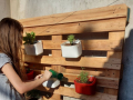 Atividades de Jardinagem nas residências. Projeto Escola Verde. Novembro de 2020.