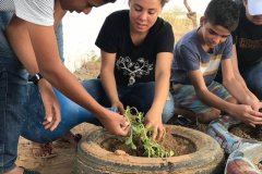 JARDINS E HORTAS ESCOLARES AGROECOLÓGICAS
