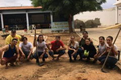 MANUTENÇÃO E DESENVOLVIMENTO DE HORTAS AGROECOLÓGICAS