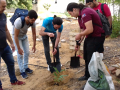 Minicurso de Arborização ocorreu no dia 21.07, com integrantes do Colégio Estadual Rui Barbosa e Univasf em Juazeiro, BA.