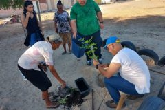 MOBILIZAÇÕES DE ARBORIZAÇÃO EM COMUNIDADES