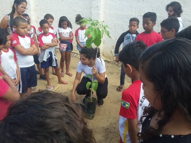 Arborização na Escola Municipal Carlos da Costa Silva, em Juazeiro (BA), com 40 alunos.
