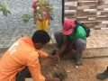 Arborização em Palmares - Juazeiro - ocorreu no dia 02.08 e contou com oito pessoas.