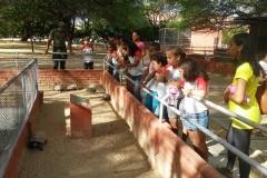 Parque Zoobotânico e Cemafauna recebem visitas técnicas