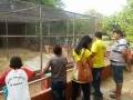 Visita Técnica - Parque Zoobotânico. Escola Luis Cursino. Juazeiro-BA. 04-05-2016