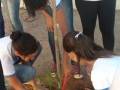 Atividade de arborização - Escola Edison Nolasco - Petrolina-PE - 25.11.15