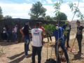 Arborização mobilizou 100 alunos de Petrolina e Juazeiro com atividades teóricas e práticas.