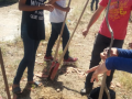 Arborização mobilizou 100 alunos de Petrolina e Juazeiro com atividades teóricas e práticas.