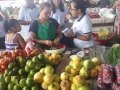 grupo de Saúde Ambiental do Programa Escola Verde promoveu no último domingo (13.01) intervenções na feira livre do bairro João de Deus, em Petrolina-PE.