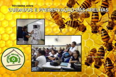  Preservação e cuidados com as abelhas