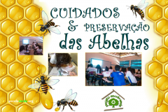 Preservação e cuidados com as abelhas