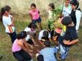 Atividades de Arborização. Projeto Escola Verde. Itapevi-SP